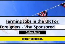 Farming Jobs in the UK For Foreigners 2024 - Visa Sponsored