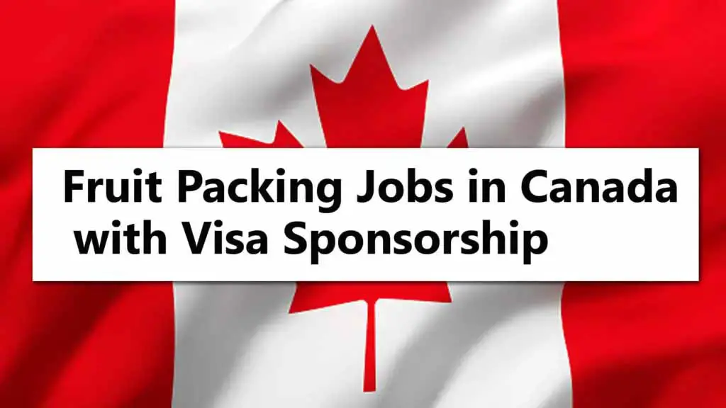 Fruit Packing Jobs in Canada with Visa Sponsorship 2024