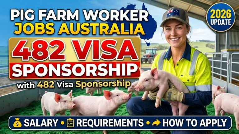 Pig Farm Worker Jobs in Australia with 482 Visa Sponsorship