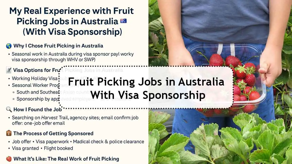 Fruit Picking Jobs in Australia With Visa Sponsorship