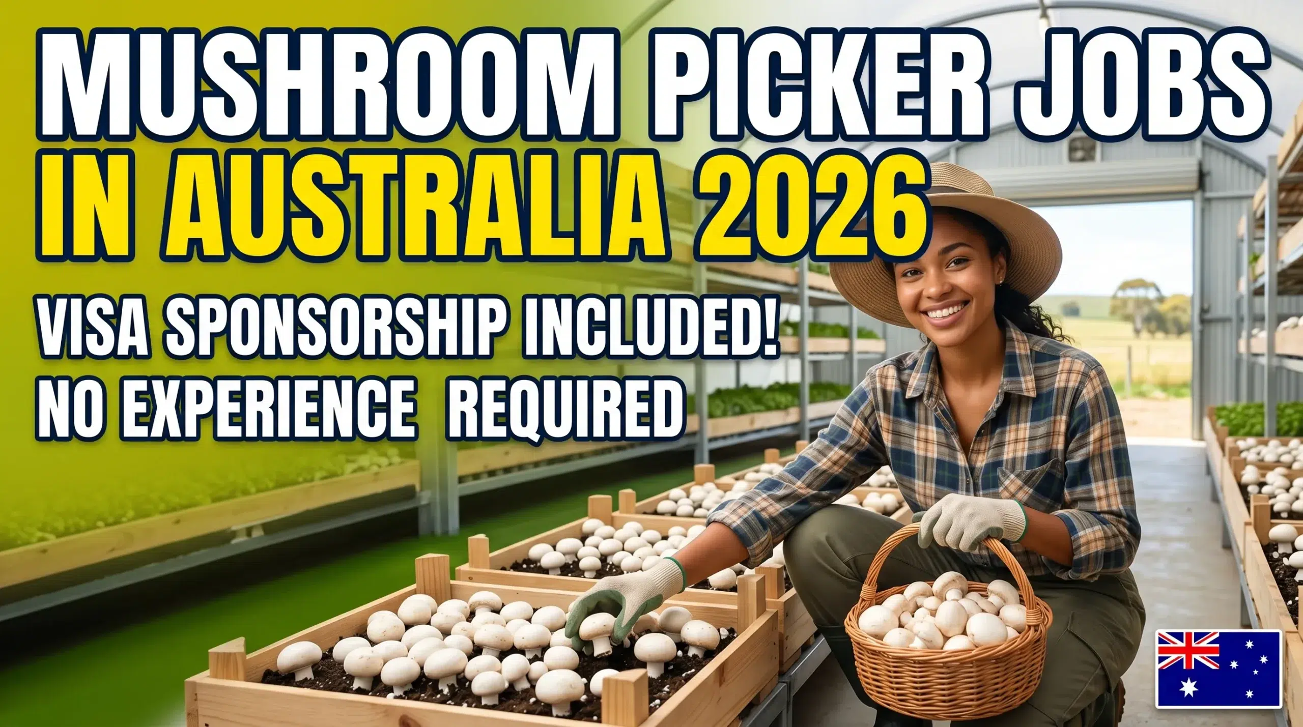 Mushroom Picker Jobs in Australia with Visa Sponsorship 2026 (No Experience Required)
